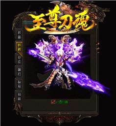 天龙八部私服风云盾